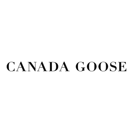 Canada goose