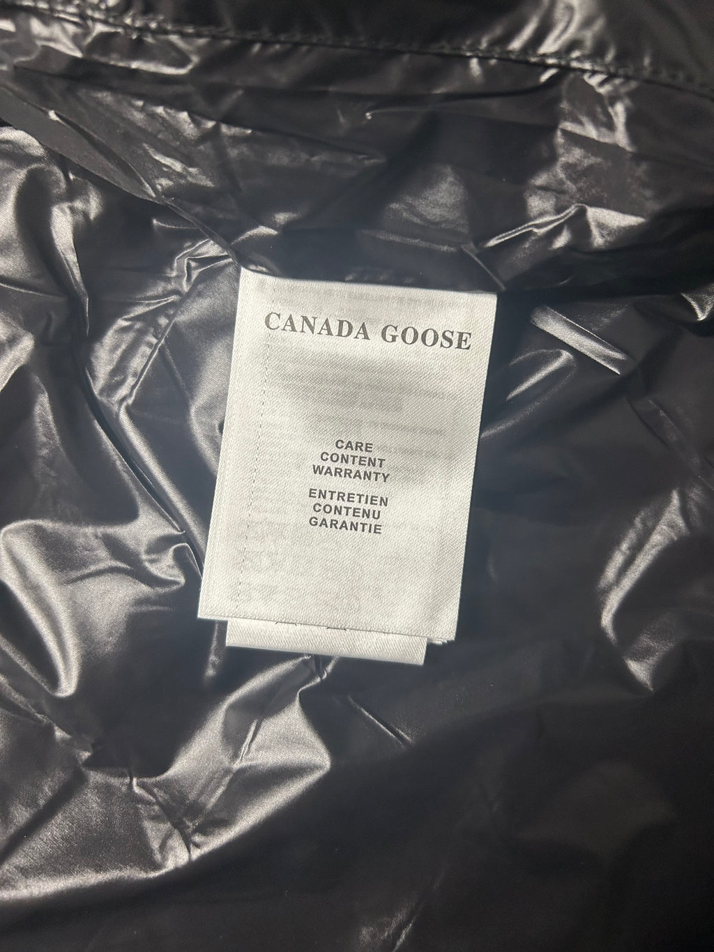 Canada goose hybridge