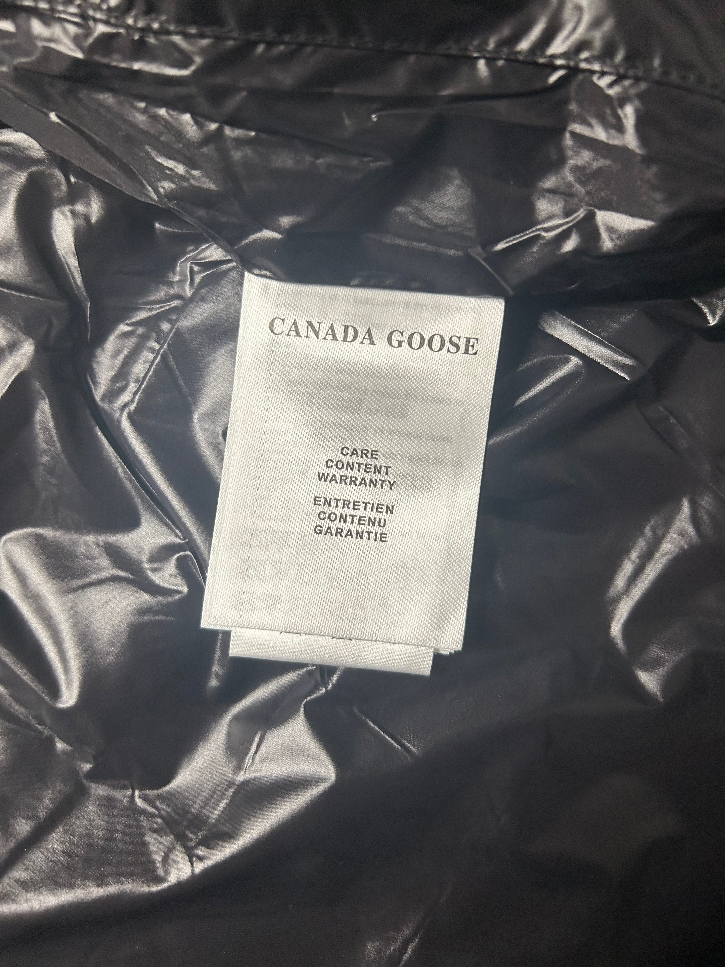 Canada goose hybridge