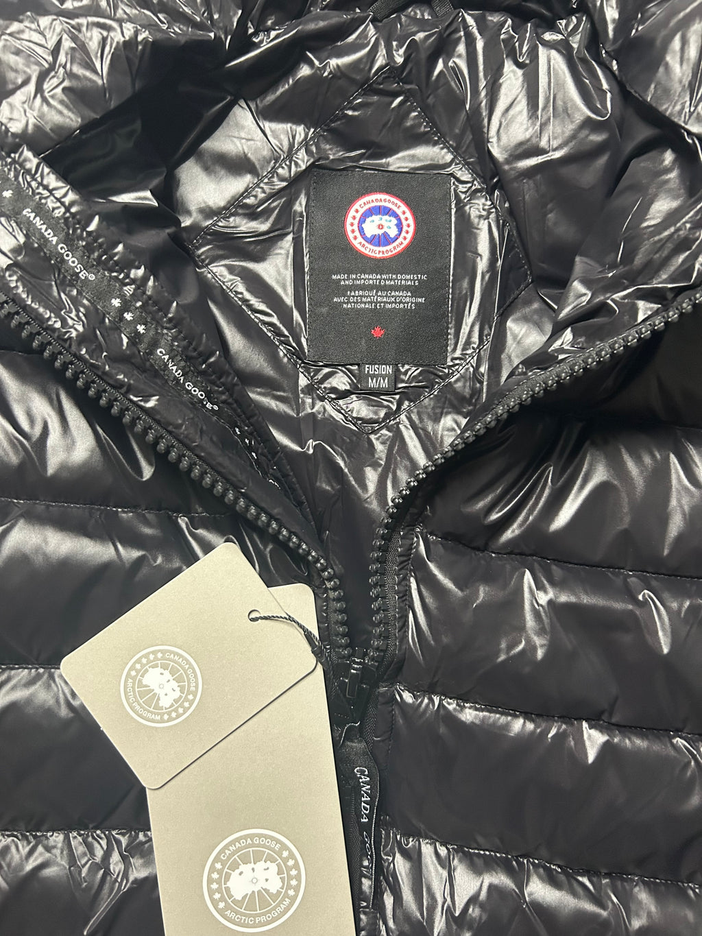 Canada goose hybridge