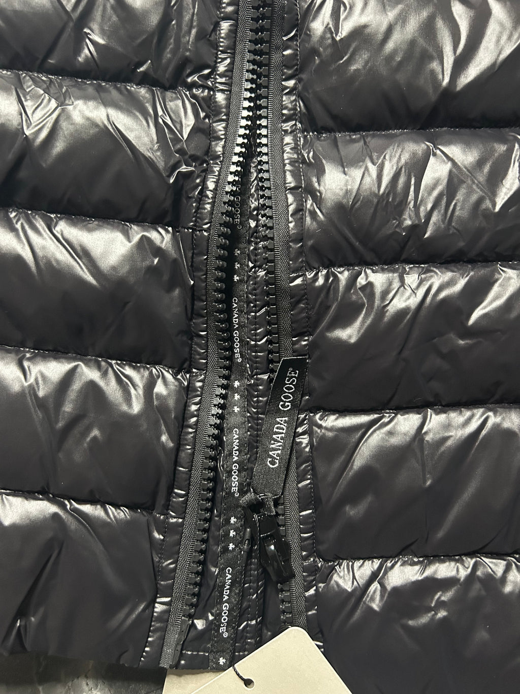 Canada goose hybridge