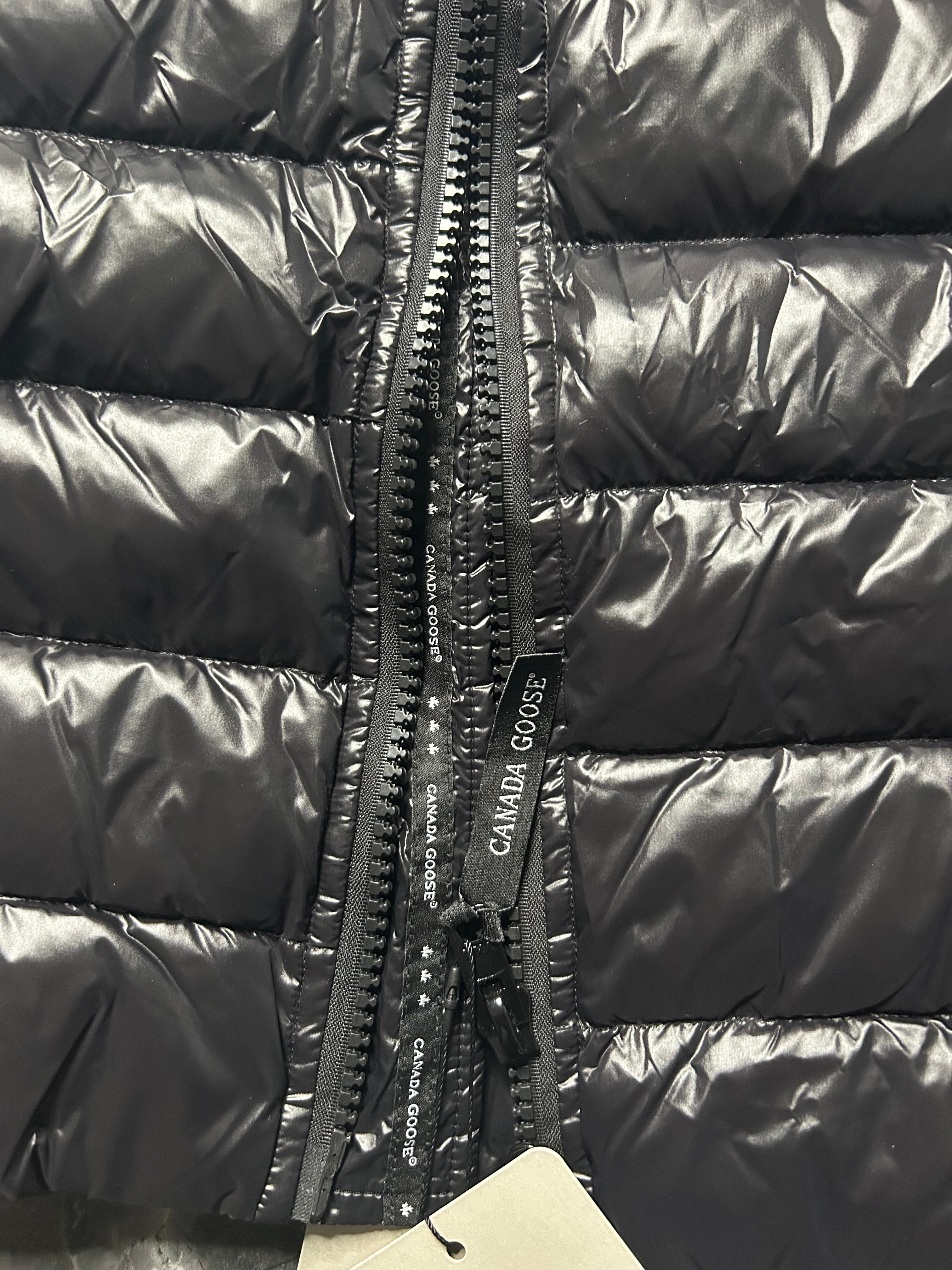 Canada goose hybridge