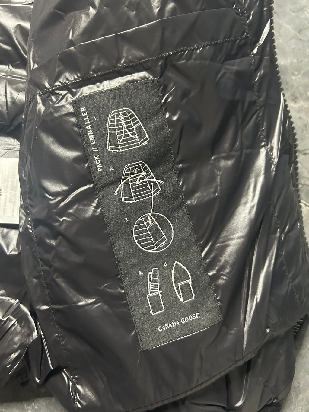 Canada goose hybridge