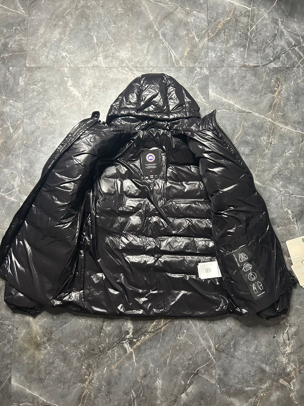 Canada goose hybridge