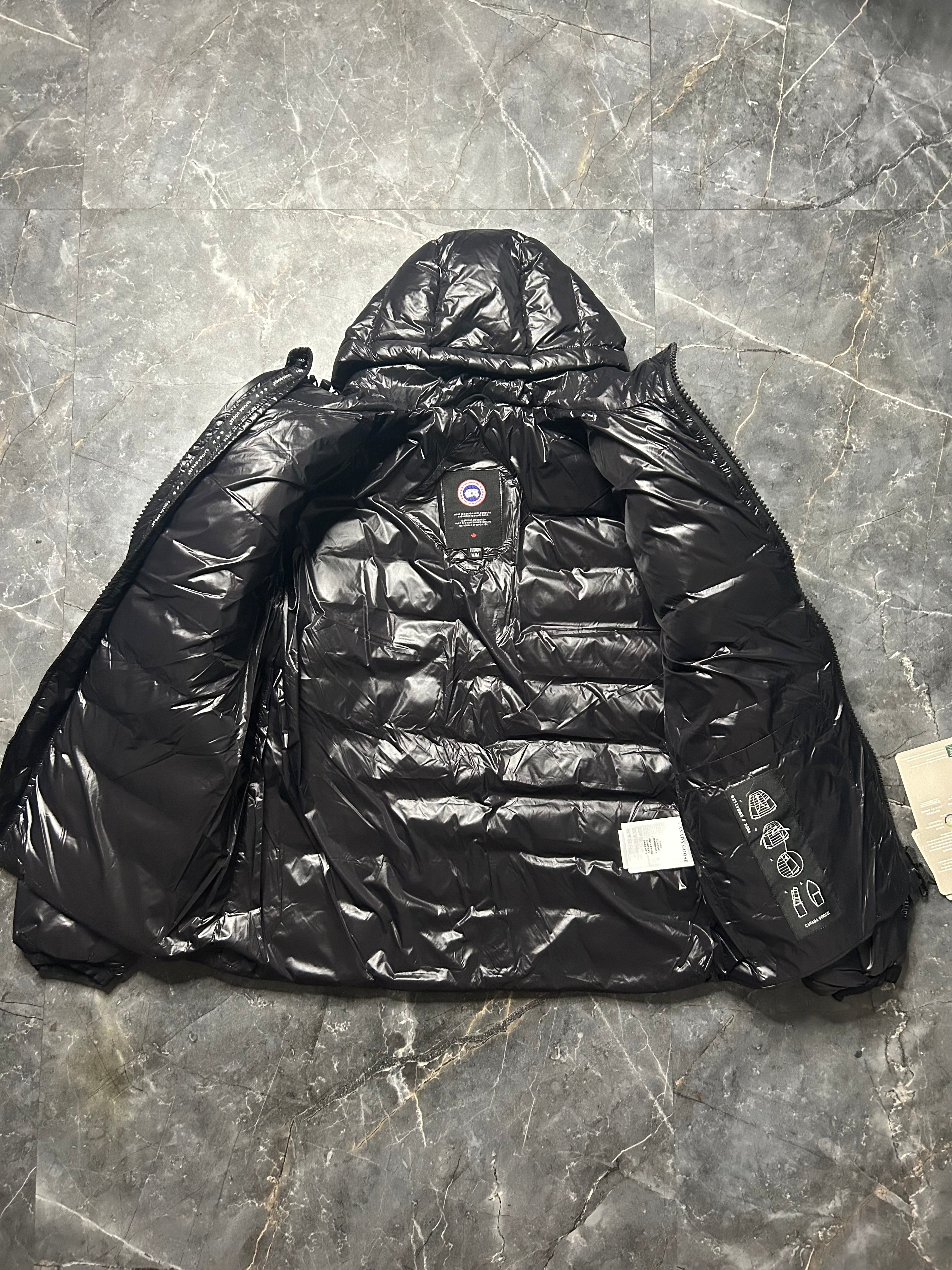 Canada goose hybridge