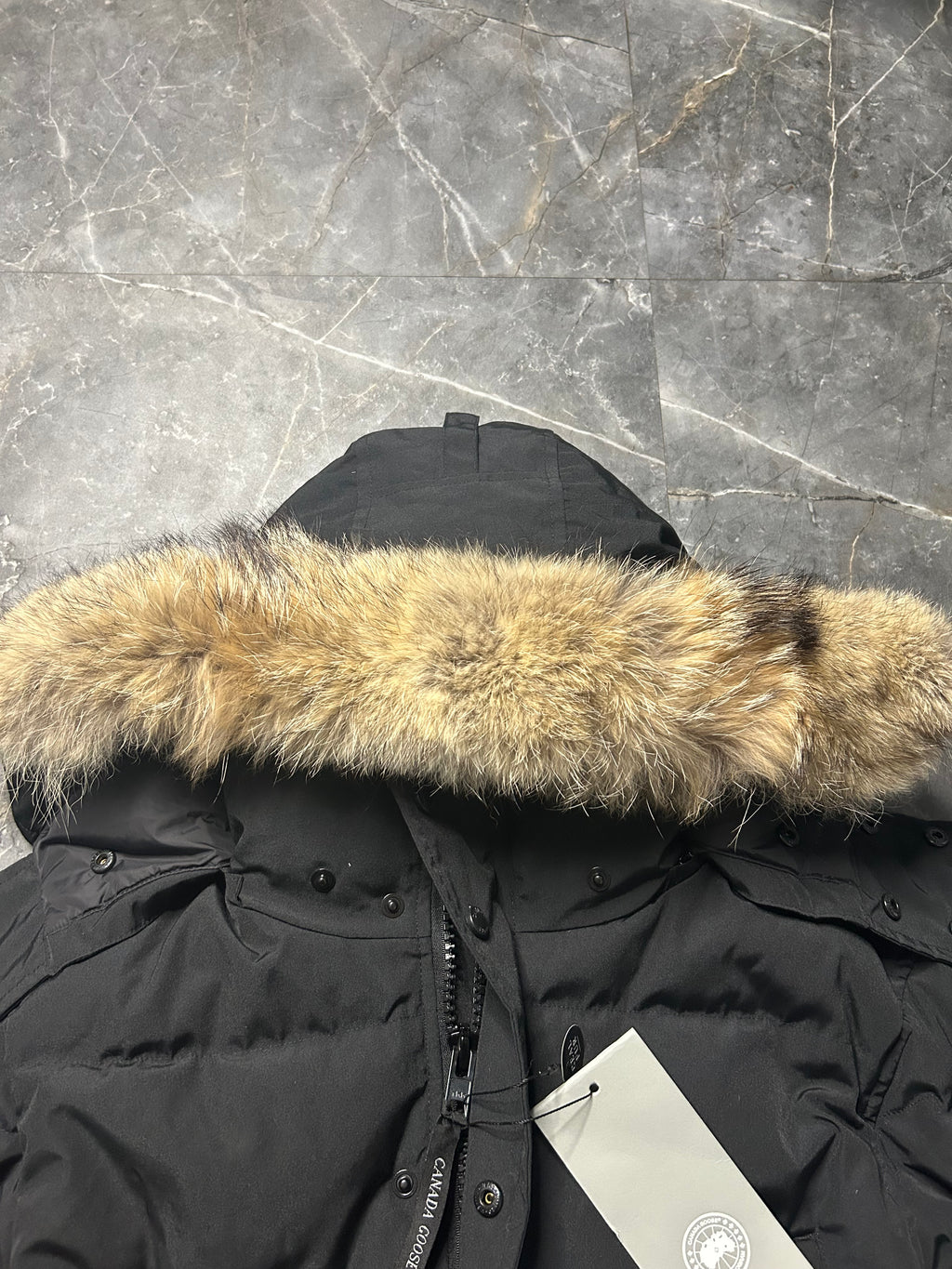 Canada goose Wyndham parka