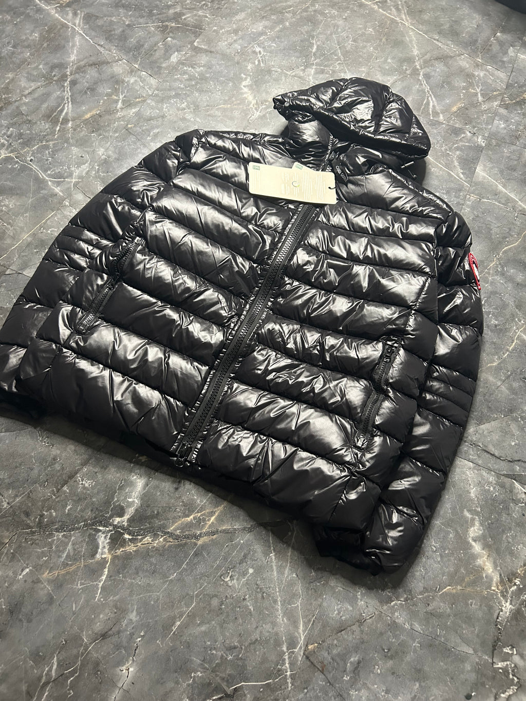 Canada goose hybridge