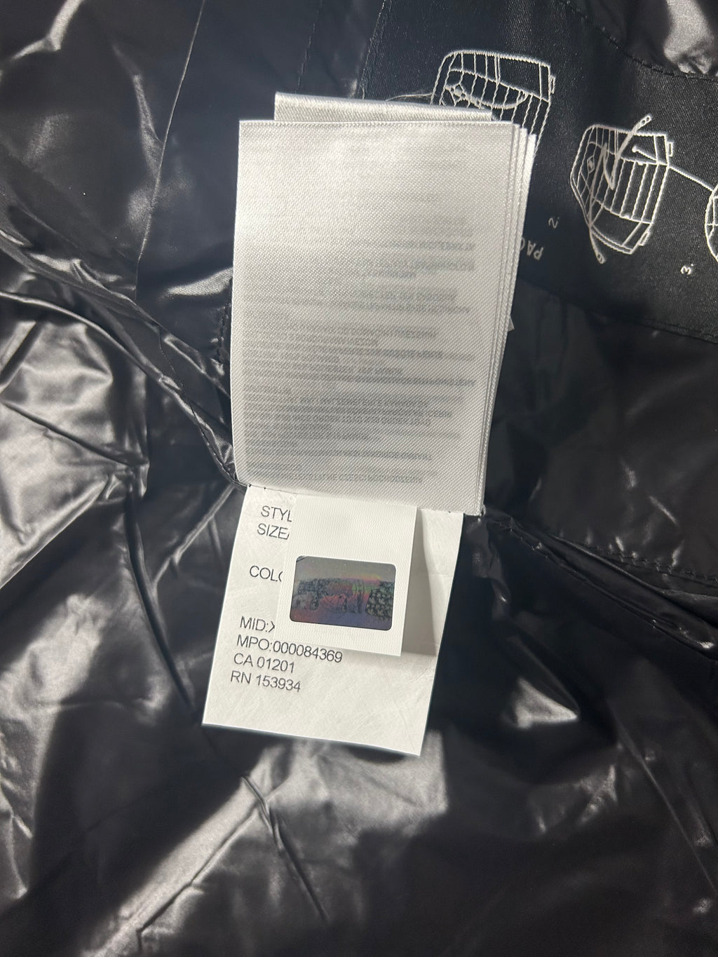 Canada goose hybridge