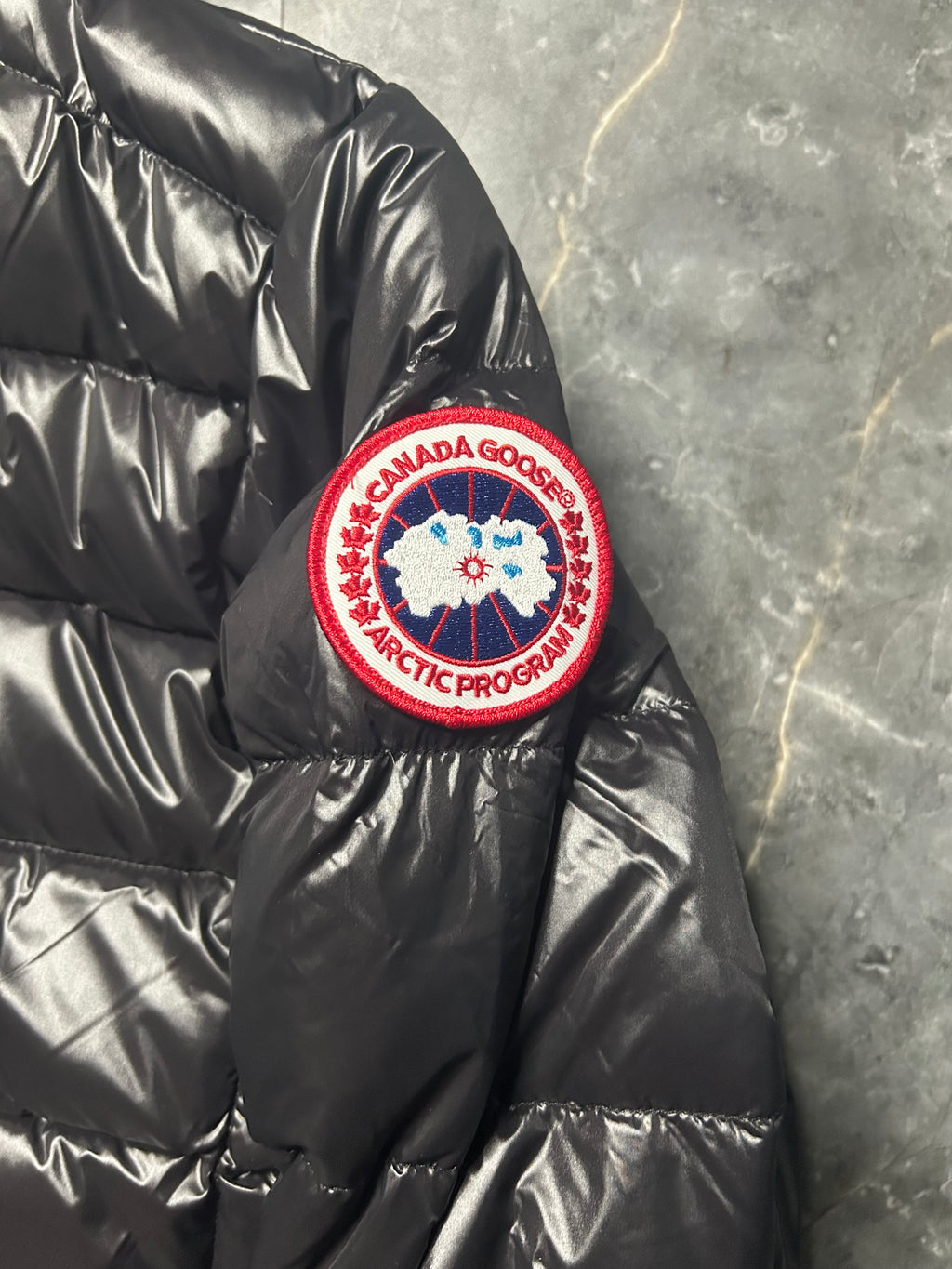 Canada goose hybridge