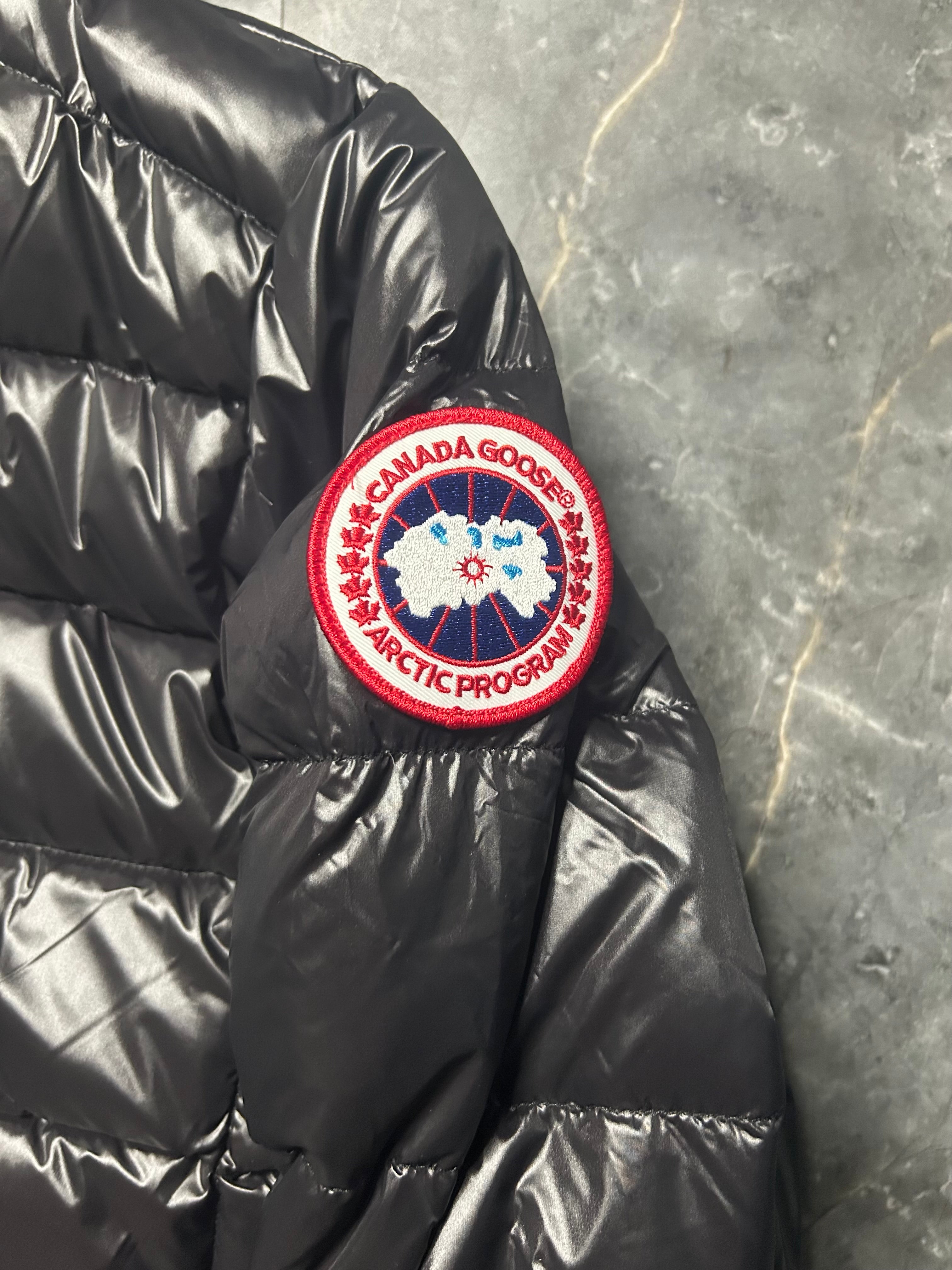 Canada goose hybridge