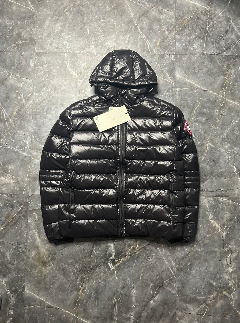 Canada goose hybridge