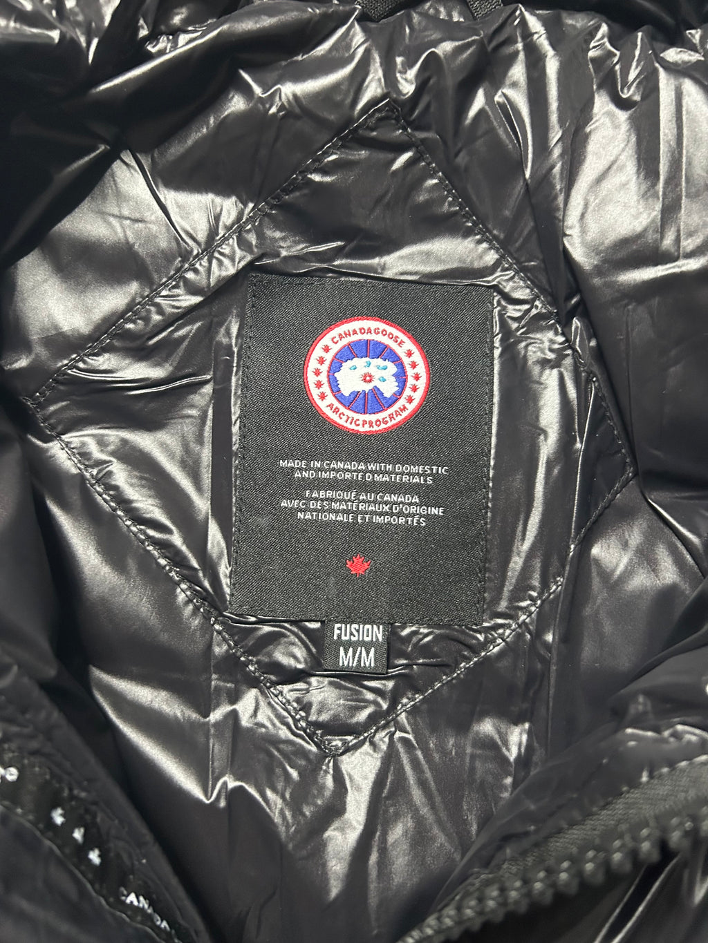 Canada goose hybridge