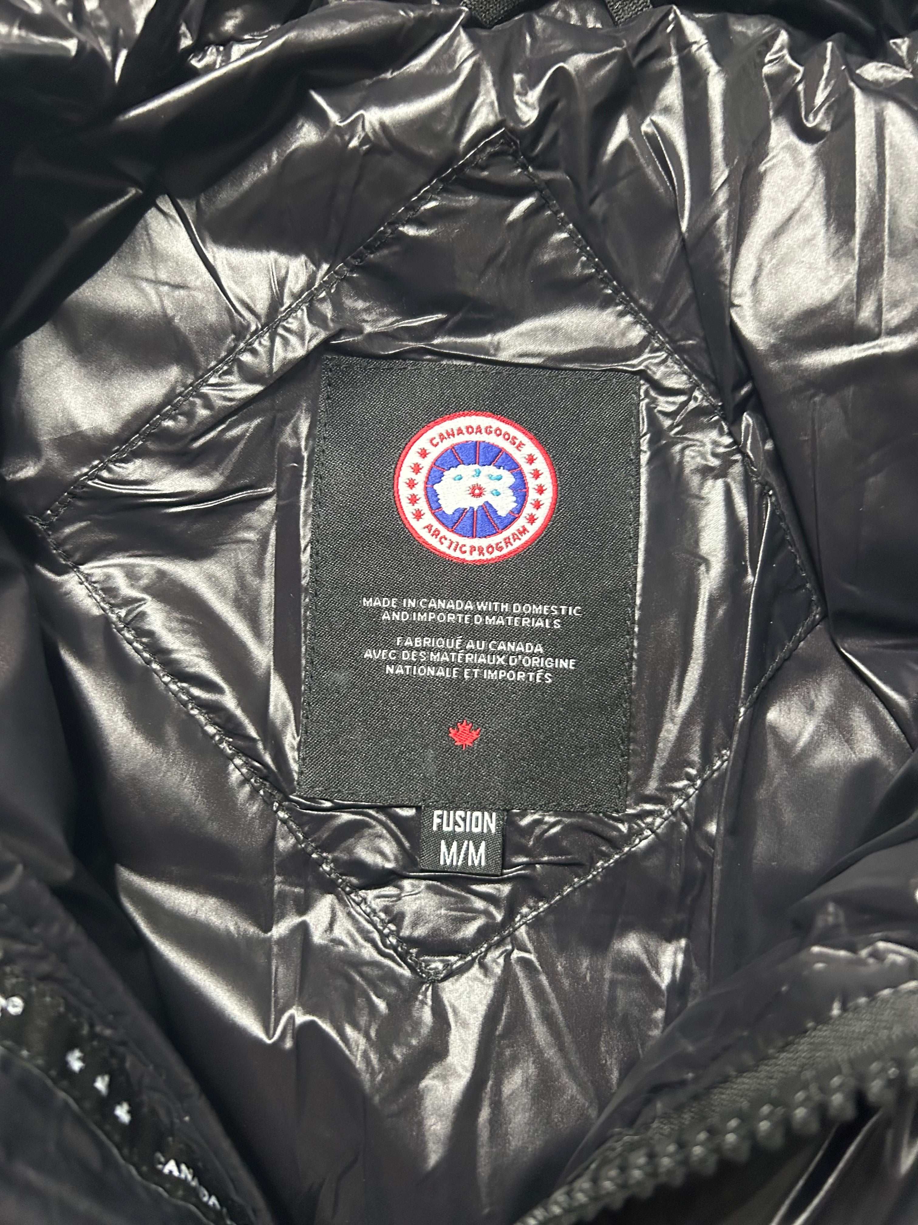 Canada goose hybridge