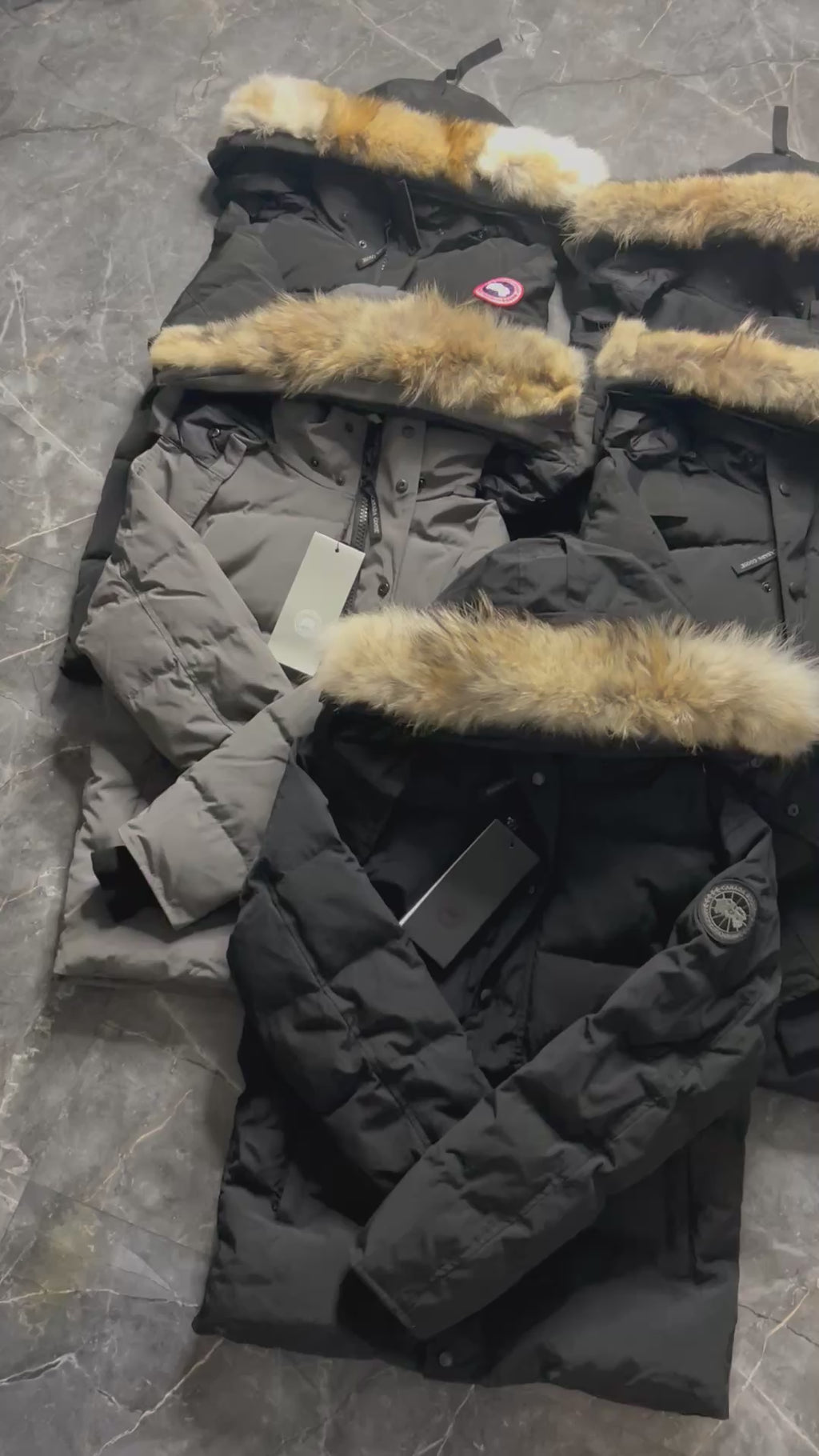 Canada goose Wyndham parka